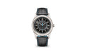 Patek Philippe Calatrava — Automatic — White Gold — Black Dial — Ref. 6007G-011