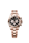Rolex Cosmograph Daytona Everose / Black - Sundust - Diamond / Oyster — Ref. 126505