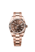 Rolex Sky-Dweller Everose / Chocolate / Oyster — Ref. 336935