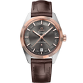 Omega Globemaster Annual Calendar Stainless Steel / Sedna Gold / Grey — Ref. 130.23.41.22.06.001