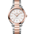 Omega Seamaster Aqua Terra 150M Master Chronometer 41 Stainless Steel / Sedna Gold / Silver / Bracelet — Ref. 220.20.41.21.02.001