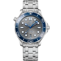 Omega Seamaster Diver 300M Master Co-Axial 42 Stainless Steel / Grey / Bracelet — Ref. 210.30.42.20.06.001