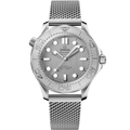 Omega Seamaster Diver 300M No-Date Master Co-Axial 42 Stainless Steel - Titanium / Grey / Bracelet — Ref. 210.30.42.20.06.002