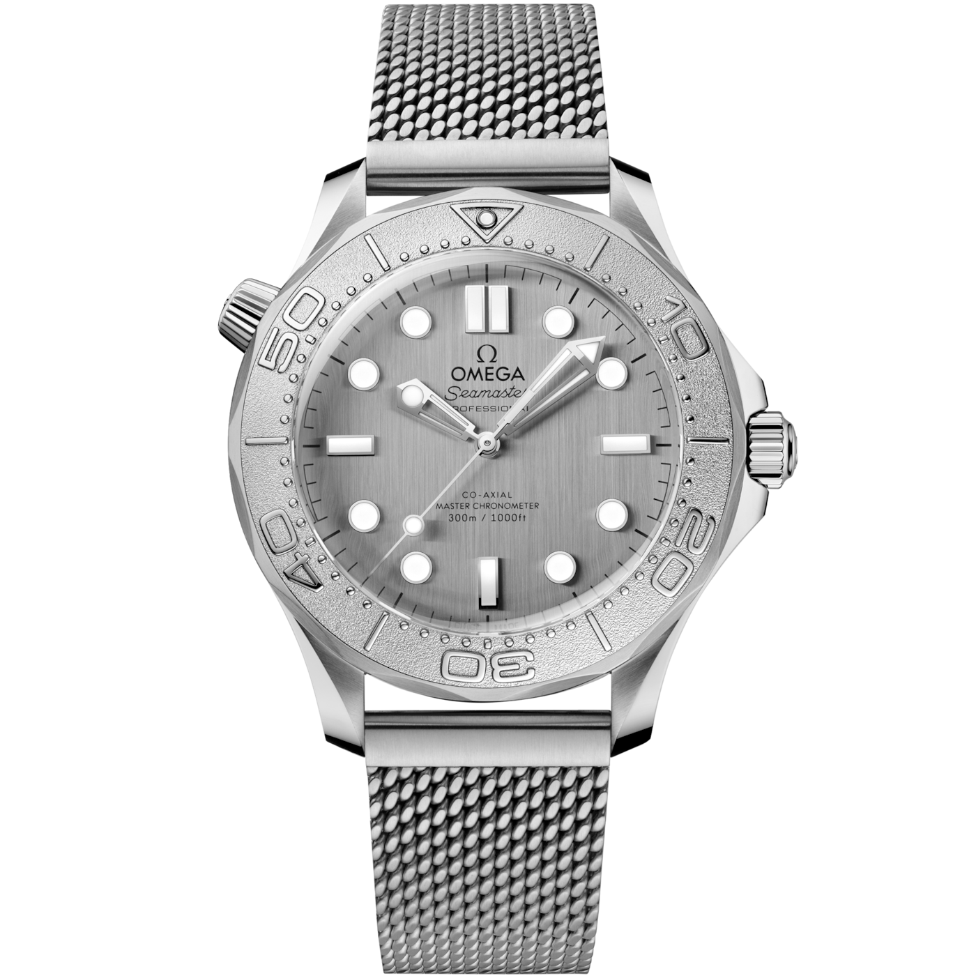 Omega Seamaster Diver 300M No-Date Master Co-Axial 42 Stainless Steel - Titanium / Grey / Bracelet — Ref. 210.30.42.20.06.002
