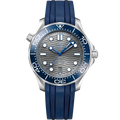 Omega Seamaster Diver 300M Master Co-Axial 42 Stainless Steel / Grey / — Ref. 210.32.42.20.06.001