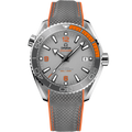 Omega Seamaster Planet Ocean 600M Co-Axial 43.5 Master Chronometer Titanium / Grey / Rubber — Ref. 215.92.44.21.99.001