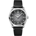 Omega Seamaster Railmaster — Ref. 235.12.38.20.06.001