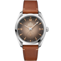 Omega Seamaster Railmaster — Ref. 235.12.38.20.13.001