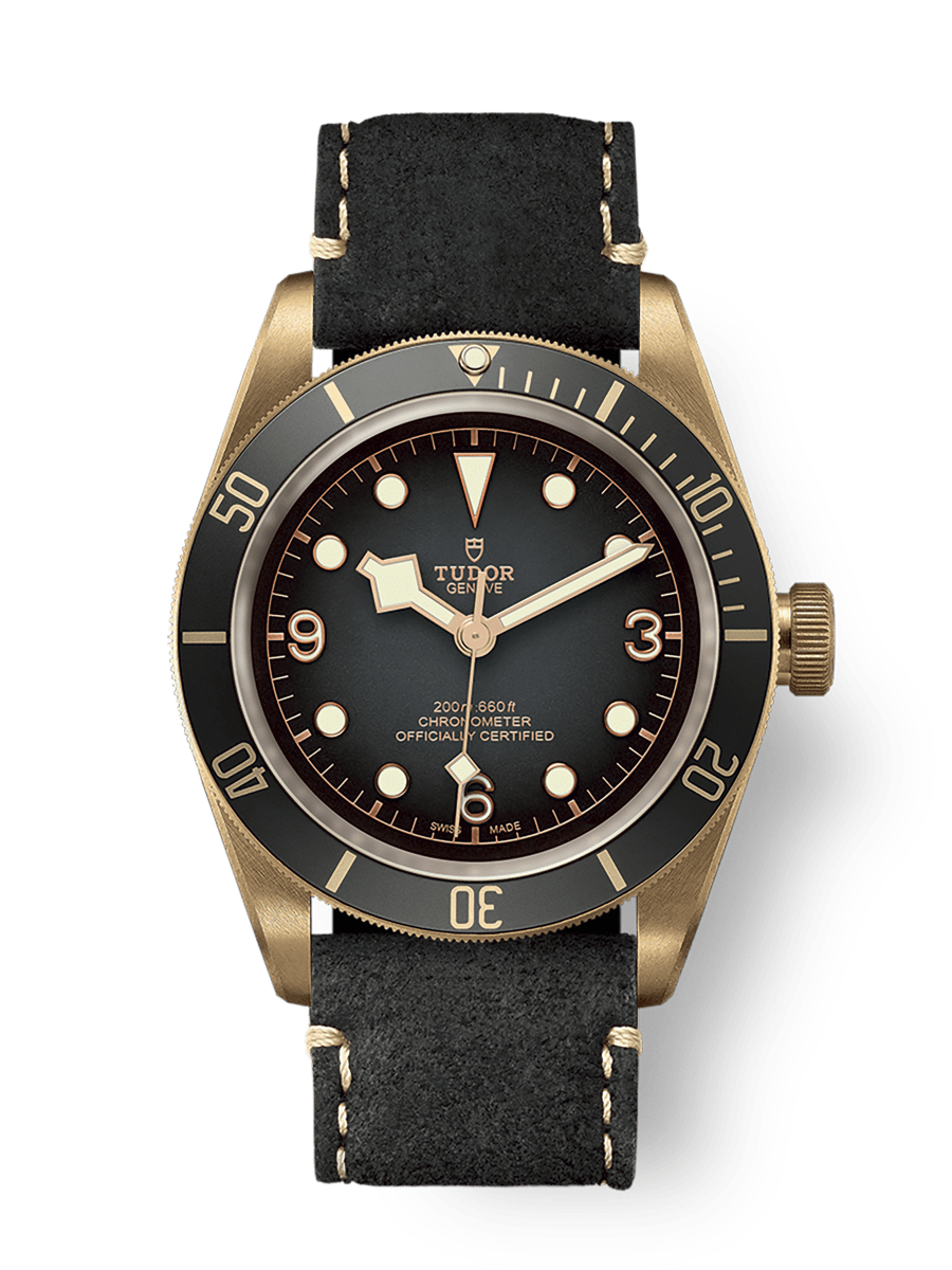 Tudor Heritage Black Bay Bronze / Slate / Leather — Ref. 79250BA