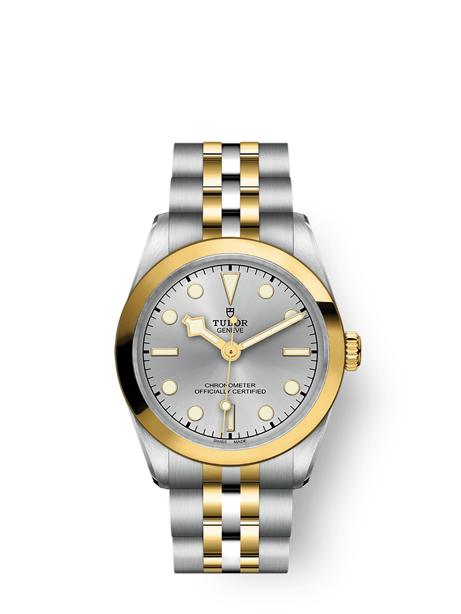 Tudor Black Bay 31 S&G / Silver / Bracelet — Ref. 79603