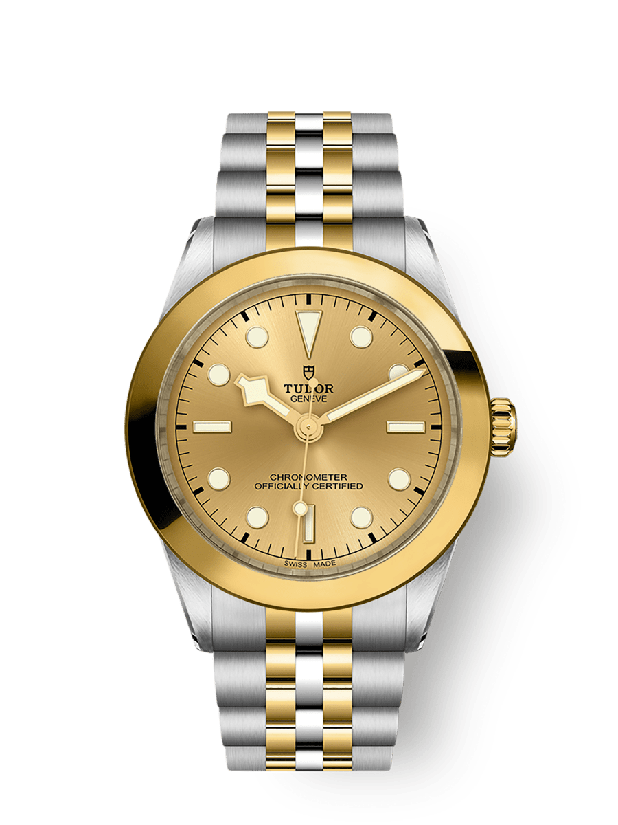 Tudor Black Bay 39 S&G / Champagne / Bracelet — Ref. 79663