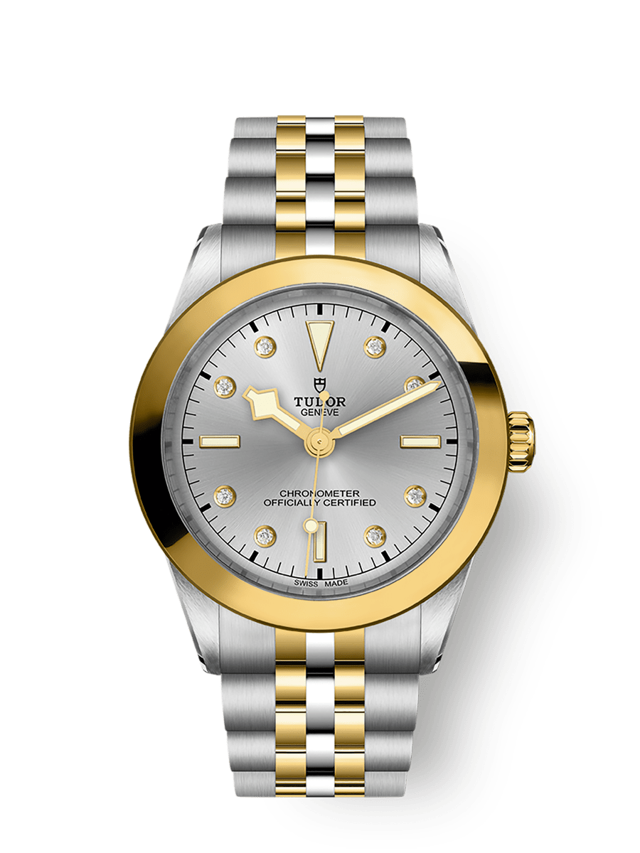 Tudor Black Bay 39 S&G / Silver - Diamond / Bracelet — Ref. 79663