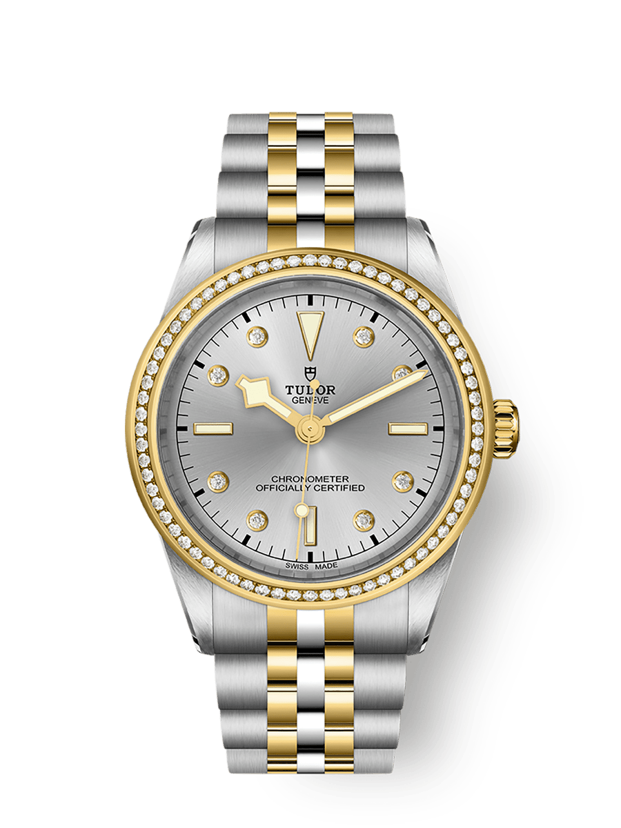 Tudor Black Bay 39 S&G - Diamond / Silver - Diamond / Bracelet — Ref. 79673