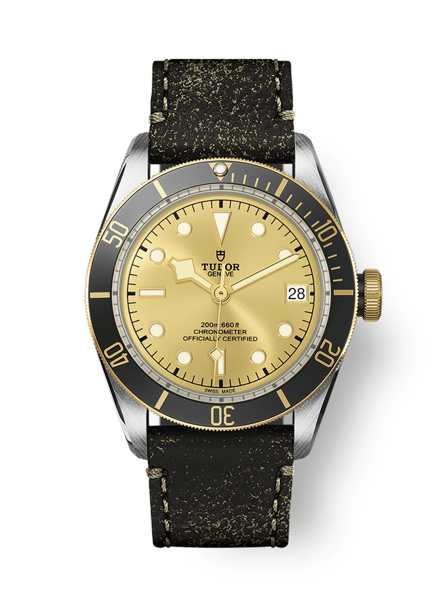 Tudor Heritage Black Bay Black S&G / Stainless Steel / Yellow Gold / Champagne / Strap — Ref. 79733N