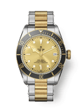 Tudor Heritage Black Bay Black S&G / Stainless Steel / Yellow Gold / Champagne / Bracelet — Ref. 79733N