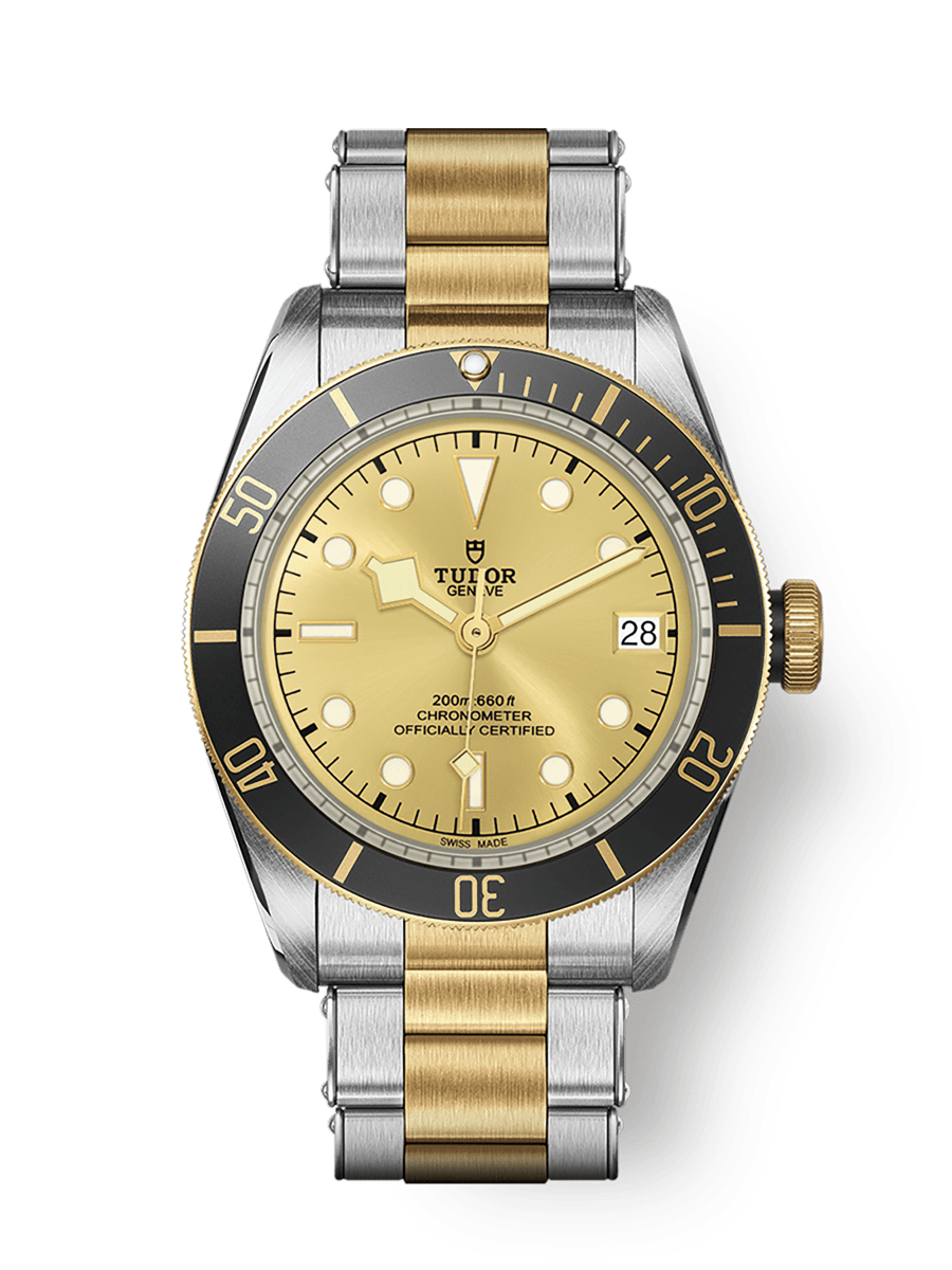 Tudor Heritage Black Bay Black S&G / Stainless Steel / Yellow Gold / Champagne / Bracelet — Ref. 79733N