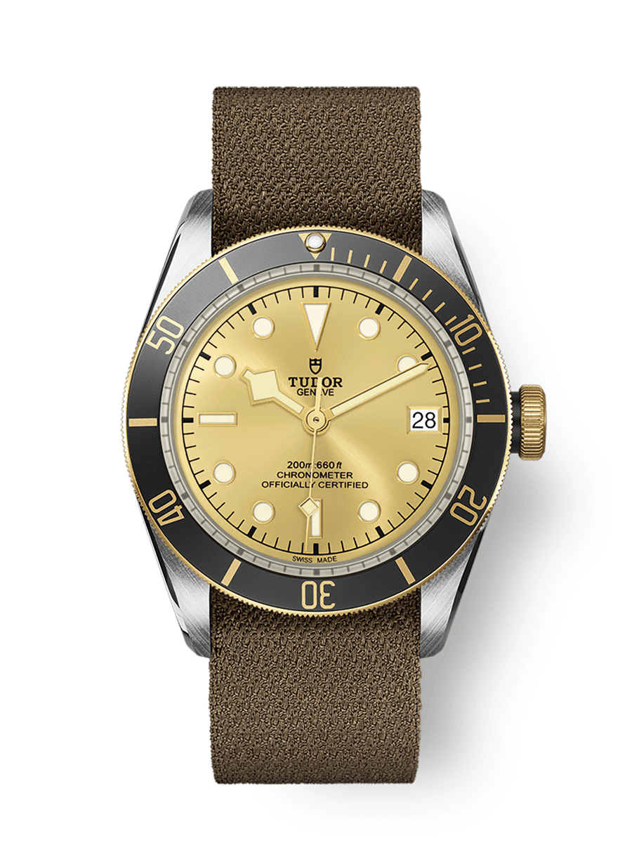 Tudor Heritage Black Bay Black S&G / Stainless Steel / Yellow Gold / Champagne / Fabric — Ref. 79733N