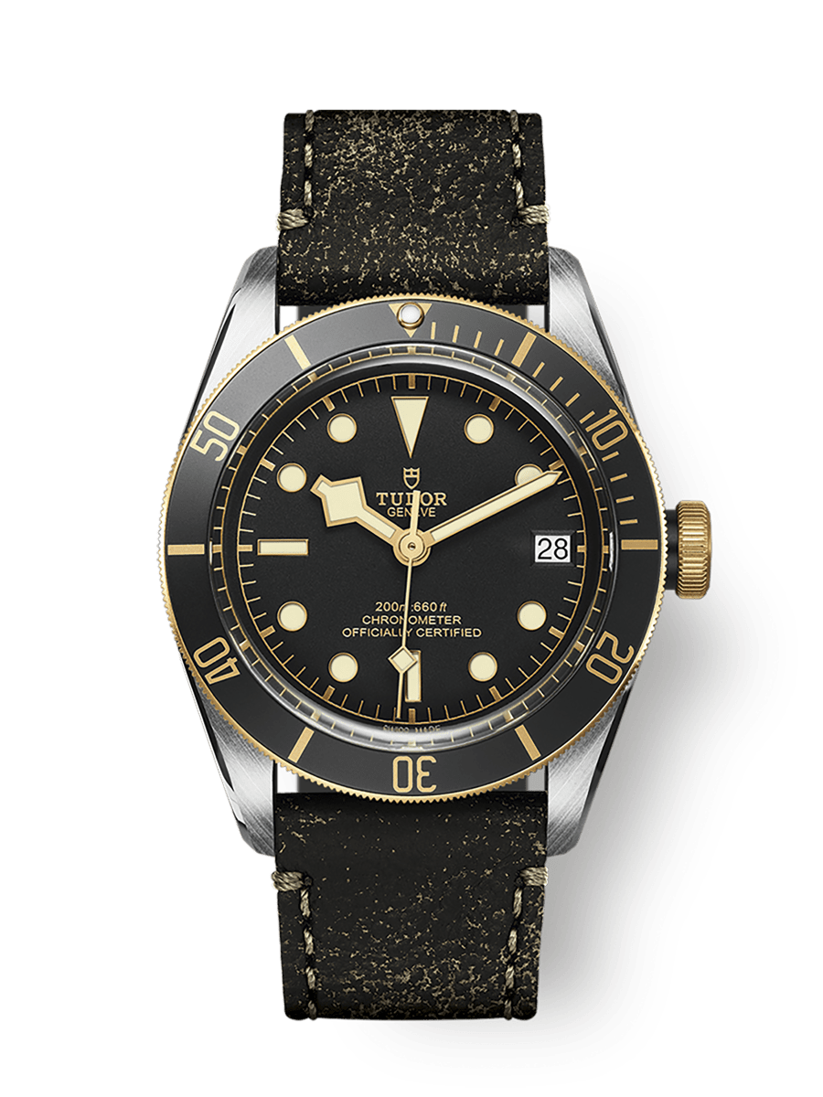 Tudor Heritage Black Bay Black S&G / Stainless Steel / Yellow Gold / Black / Strap — Ref. 79733N